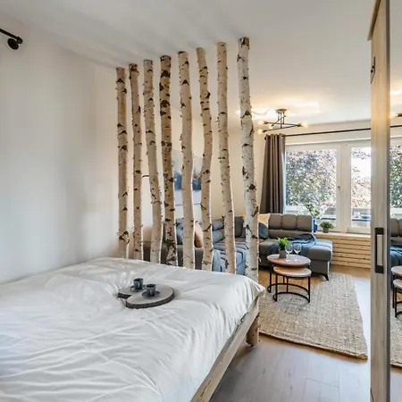 Rosel's Mountain Apartment *